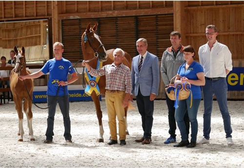 Emmanuel Spinnewyn, Floriane Leyzour, Philippe Bodinier, Gilles Botton, Séverine Leger et Tom Lemmens au Haras de Hus