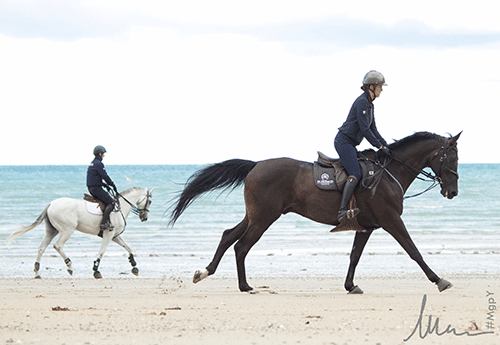 Dernier galop sur la plage (MG)