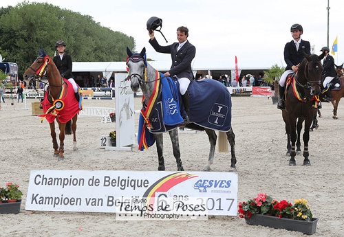 6 ans : Fauve Db (SBS Gitano v Berkenbroeck x Clinton) montée par Caio Carvalho