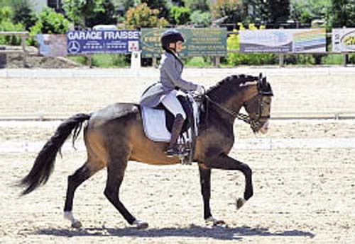 Caroline Brun de retour sur les carrés de dressage