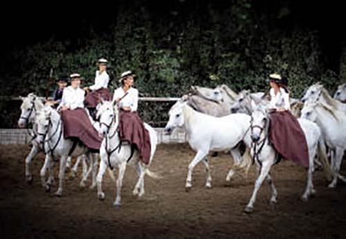 Les Gardians camarguais seront présents ! (© Henri Baron)