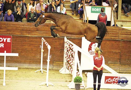 El Diarado d’Euskadi