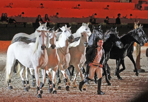 Spectacle Lorenzo (© Pascale Vacher)