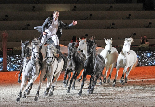 Spectacle Lorenzo (© Pascale Vacher)