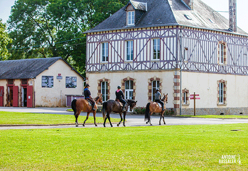 Ecole Supérieure du Cheval et de l’Equitation  (Site du Pin)