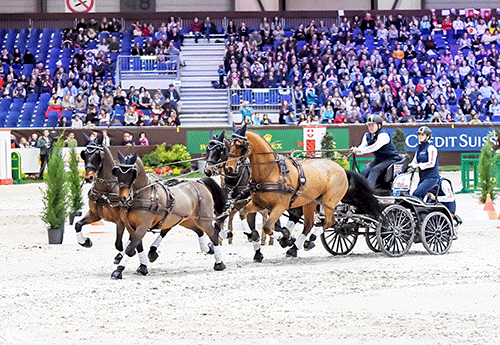 Genève connut aussi la victoire de Boyd Exell et vibra devant les attelages (© Patrick Jean )