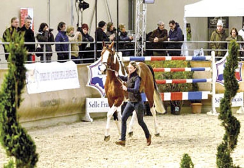 Traditionnellement c’est à Chazey sur Ain qu’avait lieu le Top Sires
