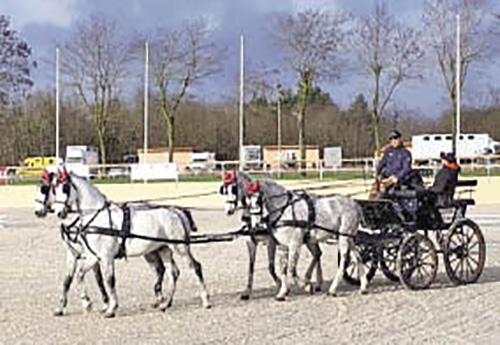 Sébastien Mourier et son attelage à 4 (© FFE/JC)