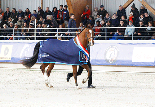 Champion des 3 ans à Lyon 