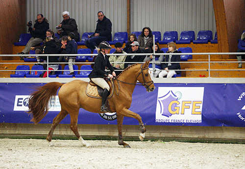 Un Caprice de Chalusse