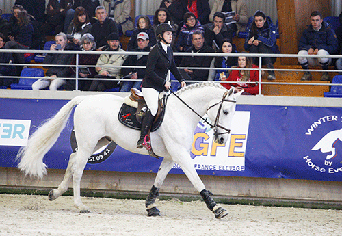 Paddock du Plessis