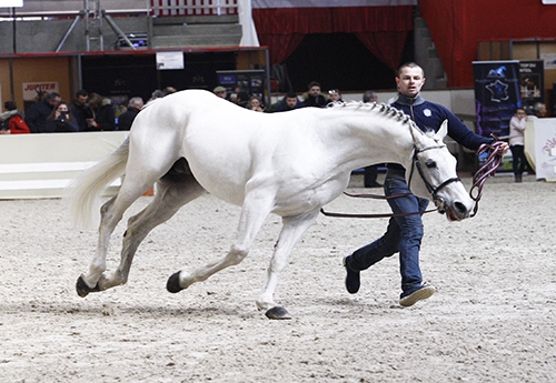 Malito de Rêve (Photos ER)