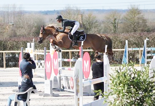 Pénélope Leprévost gagne le Grand Prix GD Solutions avec Airelle Flamingo (Photo Haras de la Vallée)