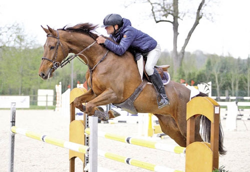 Aylander du Pomiez (ici sous la selle de Pierre Gautherat) gagne la 120 de Vittel avec Romain Schaeffer et la 125 de Glatigny ce dernier week-end de mai