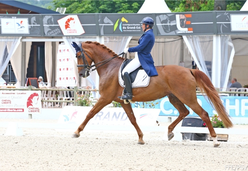 Nicolas Farveau/Ginsengue, vainqueur de la Pro Elite Grand Prix (© FFE/PSV)