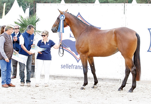 Emotion du Pomiez à Marie Dechambenoit