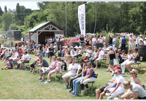 Le public dans la verdure