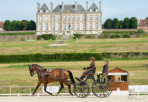 Marion Vignaud