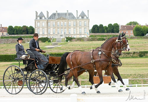 Maxime Maricourt