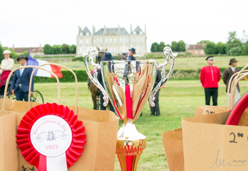 Remise du Prix départemental de l’Orne CAI2* 2018