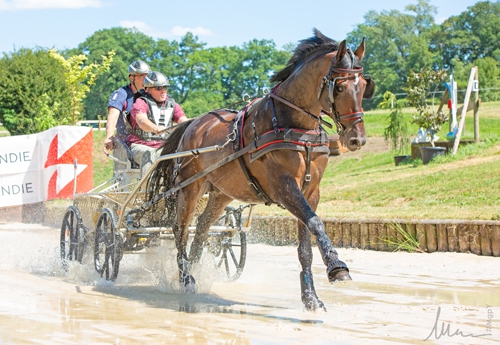 Renaud Vinck s’impose dans deux catégories pour les Haras nationaux en CAI2*H1 et CAI3*H2