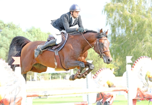 Bellini du Faure L/Quentin Marion