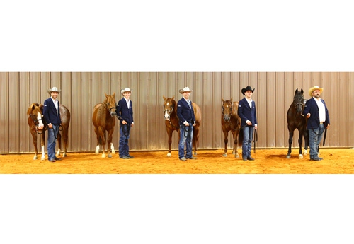 Reining