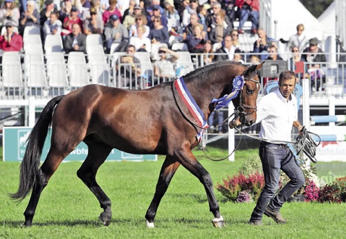 Fast de Denat