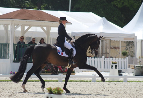 Morgan Barbancon Mestre et Bolero (© FFE Equipes de France)