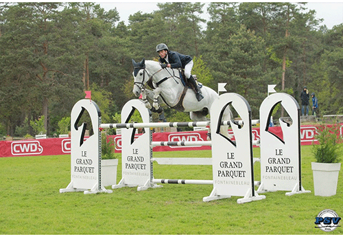 Alix Ragot et le Kwpn gris Coco Rico (Photo FFE/PSV)Le CSI2* de Fontainebleau a vu la victoire d’Alix Ragot et le Kwpn gris Coco Rico (Corland) dans la première qualificative au Grand Prix hier vendredi. Il s’impose sur huit barragistes, et surpasse de peu l’Adjudant Donatien Schauly, engagé avec Sprinter du Dorset Mili (Allegreto) le bien nommé, et l’Irlandais Ivan Dalton/Lord Bi (Baloubet du Rouet).