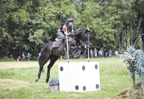  Les obstacles étaient flambant neufs (© Preignan Compétition Equestre)