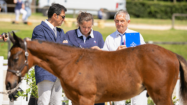 Le jury