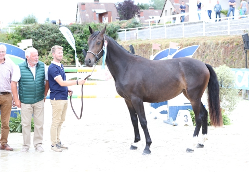 Hekla du Salbey, 4e des 2 ans