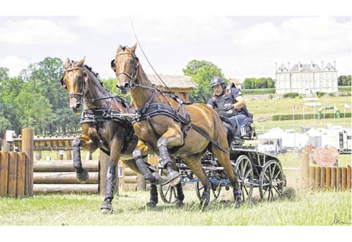 8 obstacles composent le circuit du marathon