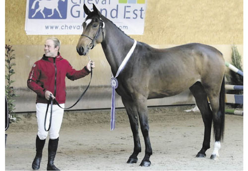 Geisha duVert, 1re des 3 ans