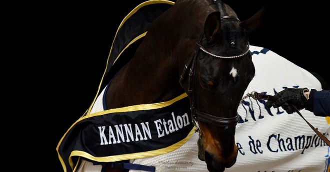 Kannan en 2016 avait été mis à l'honneur à St Lô (maelan-L-Photographies)