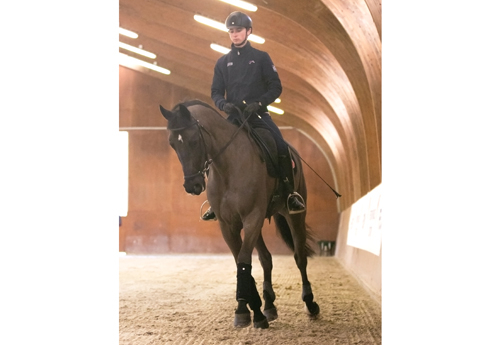Victor Levecque, l'étoile montante 2018 de la FEI