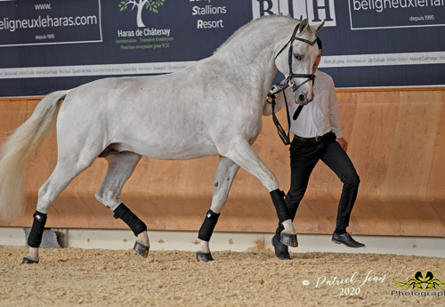 Cornet S Stern (© Patrick Jean)