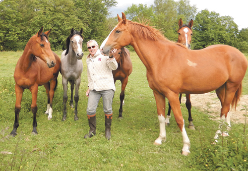 Yves au milieu de ses chevaux