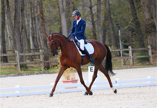 Thomas Carlile et Clintina au dressage (Photo S.Proust)