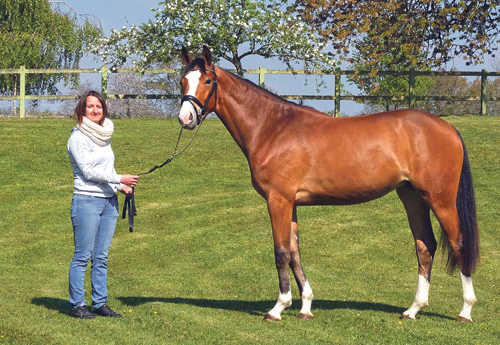 Java Blue gagnante du Critérium des pouliches de 2 ans à Patrick Blouet de Baudre près de Saint-Lô et présentée par Flora Zanello (© Jean Bougie-Equin Normand)