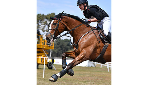 Amande de B'Neville a réalisé le cross parfait © Comité Equestre de Saumur/Photos Les Garennes 