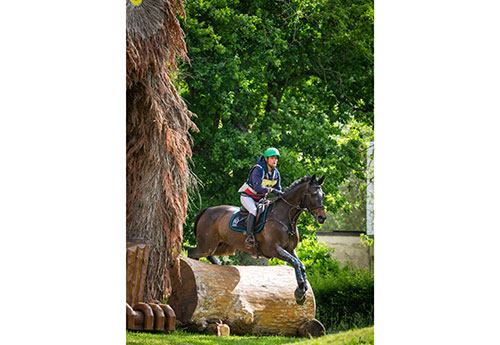 Nicolas Touzaint remporte le GN du Lion avec son cheval olympique, Absolut Gold*HDC (photo M.Guillamot)