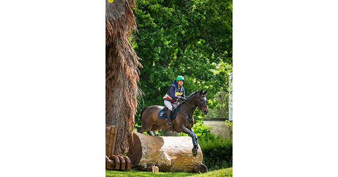 Nicolas Touzaint remporte le GN du Lion avec son cheval olympique, Absolut Gold*HDC (photo M.Guillamot)