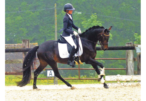 Maxime Collard et Hors de Prix remportent les 4 ans