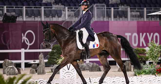 Touzaint/absolut Gold * HDC (FFE/PSV)