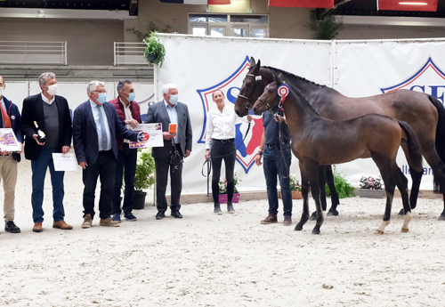 Femelles Jeunes : 2e Lysa du Ter