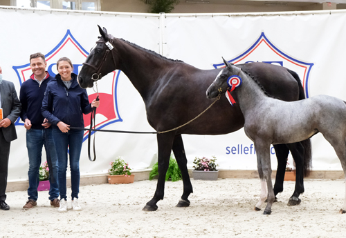 Femelles Jeunes : 4e Laika Mouche