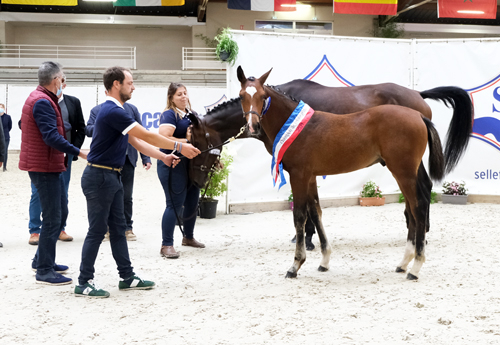 Champion des Mâles : Las de Coeur du Berry