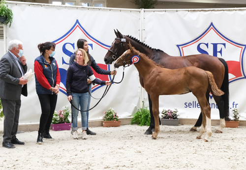Mâles Jeunes : 5e Loulou Chic